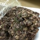 중앙동276 이미지