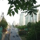 대우그린 세탁소 이미지