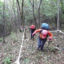 남해-228 이미지