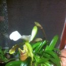 행복으로 초대 이미지