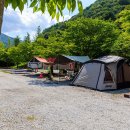 캠프더 포레 이미지