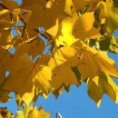 장말어린이공원 이미지