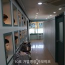 가모미모 이미지