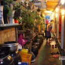 모텔돼지꿈 이미지