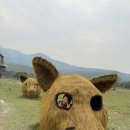 구자목장 네이버블로그