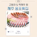 옹포횟집 제주 협재 한림읍 맛집 고등어회 딱새우회 반한 후기