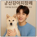 농림축산검역본부 양산사무소 | 양산강아지장례, 가족처럼 정성으로 보내는 마지막 인사｜양산애견장례식장 안내