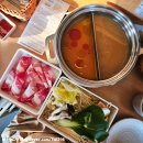 수원-1373 | 수원역 샤브샤브 맛집 추천 혼밥 및 데이트 하기 좋은 샤브로 21 방문 후기