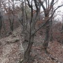 오남호수공원[오남-2] 이미지