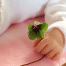 [자격증 취득과정] 진로적성상담사(6) 네이버블로그