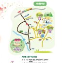경기 양평 산수유 정보화마을 Daum카페