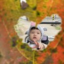 에어킥 태권도 | 10,11월 / 육아를 하면 월요일이 기다려져요