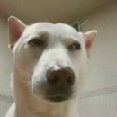 서울에스원치과의원 이미지