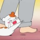 이* - 해남군 | 이*