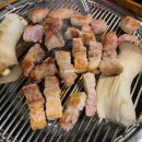 꼬꼬마 돼지 이미지