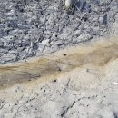 블루사이언스 이미지