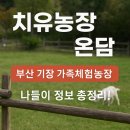 정관농장 | 아이와 함께하는 부산 정관 치유농장 온담🐑 주말 가족 힐링체험