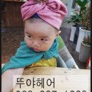 뚜야헤어