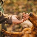 지상길농장 이미지