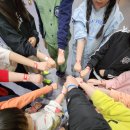 THE 드림 태권도 이미지