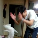 김당 이미지