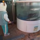 킹뽑기방 이미지