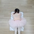 발레포레 이미지