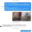 서해바다 | 서울 야외웨딩스냅 애정필름 촬영후기(인천대공원, 서해바다)