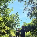 버스정류장(버스터미널 앞) | 40 20250830 남파랑길 70코스, 백석버스정류장~녹동버스터미널