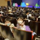 북극곰 로라 이미지