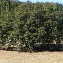 양정1동-28 이미지