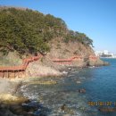 영도