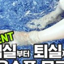 대부도펜션펜피