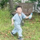 라메르 갯벌 이미지