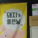 돼지가좋은날