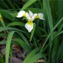 참소아청소년과의원 이미지