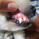 재영 동물병원 이미지