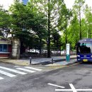 정선우체국 이미지