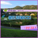 [용인 코리아CC] 챌린지-크리크코스 야간 라운딩 후기, 반바지 규정