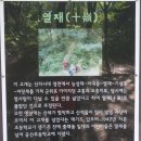 팔공산 둘레길 4구간 | 팔공산 둘레길 2, 3. 4코스 . 왕건길 2구간 ( 부남교- 거저산 - 열재 - 덕곡삼거리 )