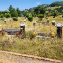 효원납골공원 이미지