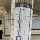 마장축산시장2-5 | 마장동 마루축산 + 전봇대집