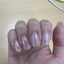 르엘네일 네이버블로그