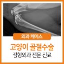정평동물병원 이미지