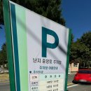 중앙로 메타세콰이아길 이미지