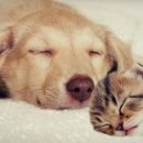 수경식당 이미지