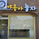 야옹아놀자 순천점 이미지