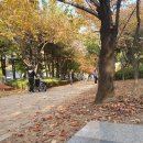 문정근린공영주차장 이미지