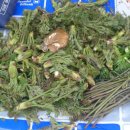 고성, 숙 이미지