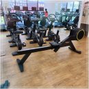 라임헬스 앤 피티 이미지